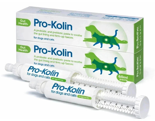 Pro-Kolin probiotic paste pack of 2
